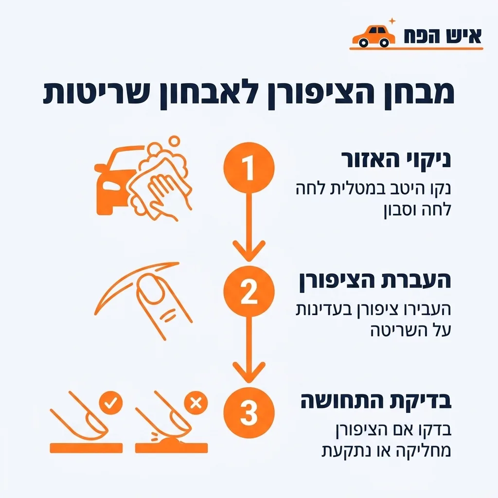 אינפוגרפיקה — מבחן הציפורן לאבחון שריטות: ניקוי האזור, העברת הציפורן, בדיקת התחושה